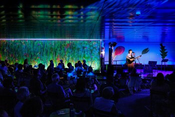 Un artista solista se presenta