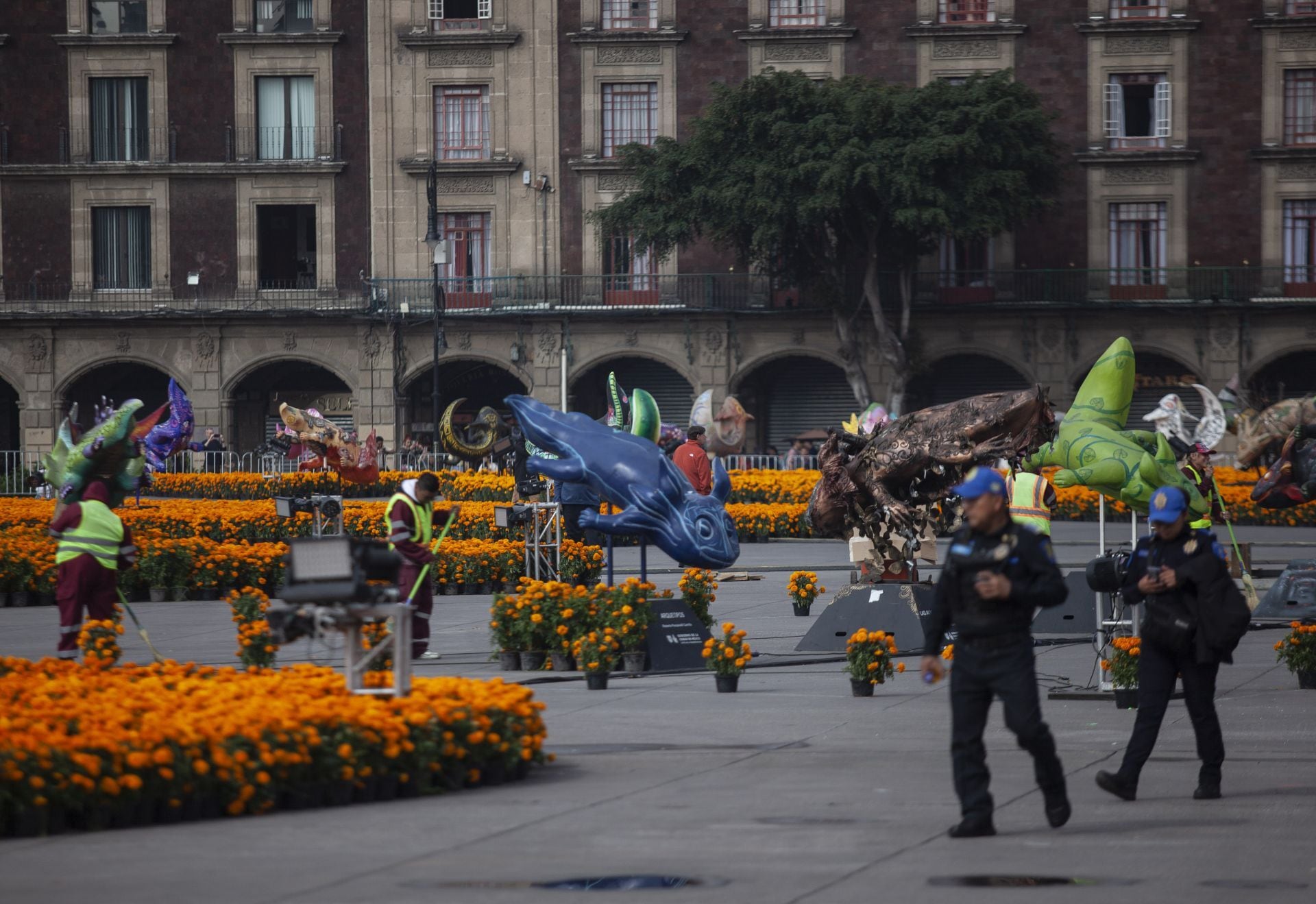 Trabajadores y policías recorren la explanada del Zócalo de Ciudad de México entre figuras monumentales y flores de cempasúchil antes de la apertura al público. (ANDREA MURCIA /CUARTOSCURO.COM)