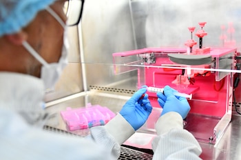 La tecnología de bioimpresión 3D abre posibilidades para desarrollar sustitutos de piel, estructuras de cartílago e injertos óseos, aplicaciones que avanzan en distintas etapas de investigación y desarrollo clínico internacional. Crédito: UCR