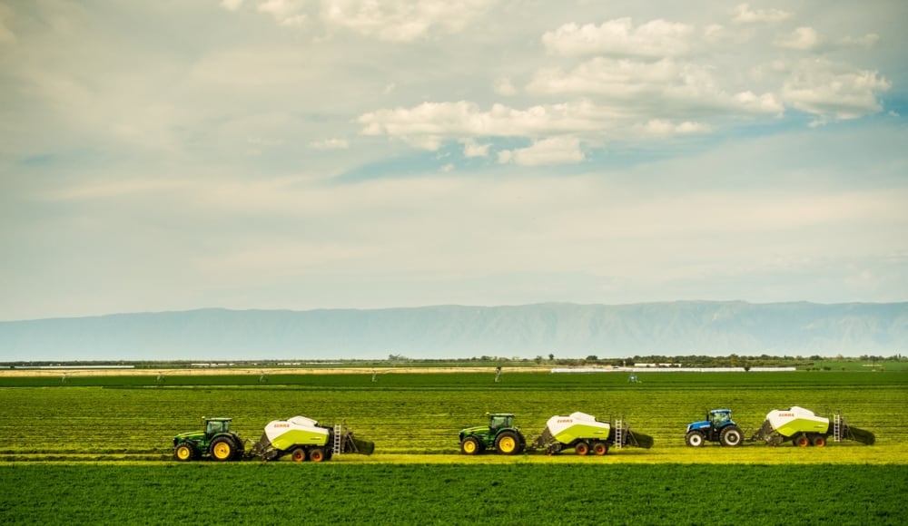 El sur de la provincia de Córdoba concentra unas 600.000 hectáreas cultivadas, pero la producción también se extiende a Buenos Aires, Santa Fe, Entre Ríos, La Pampa, Neuquén, Mendoza y Santiago del Estero (Foto: Shutterstock)