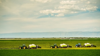 Argentina exportó 94.000 toneladas de alfalfa en el primer trimestre, un 92% más que en 2025