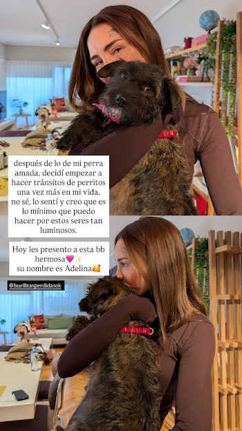 Dos imágenes verticales de Cande Tinelli alzando y besando a una perra pequeña de pelaje oscuro con collar rosa