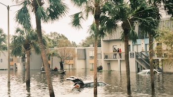 Las teorías conspirativas sobre los