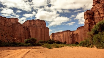 Antiguos petroglifos en el cañón