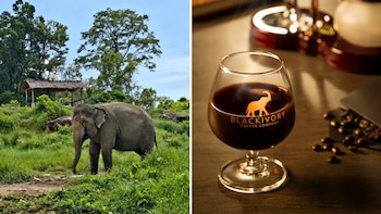 Uno de los mejores cafés