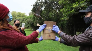 Liberación Tinguas Bogotá. Foto: Secretaría