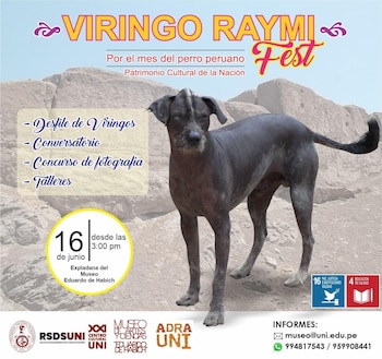 El cariño y amor que