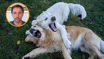 Juan Manuel Liquindoli, adiestrador canino: