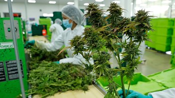 Estado y sector privado frente