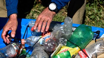 Bajo el cálido sol de