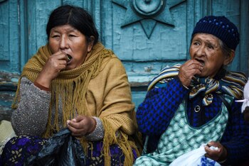 Mujeres andinas mastican hojas de