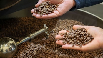 El Salvador oficializó prórroga hasta 2031 del Ficafé para frenar embargos a cafetaleros en El Salvador