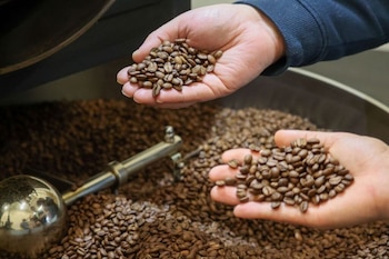 Estrategias comerciales y respaldo institucional