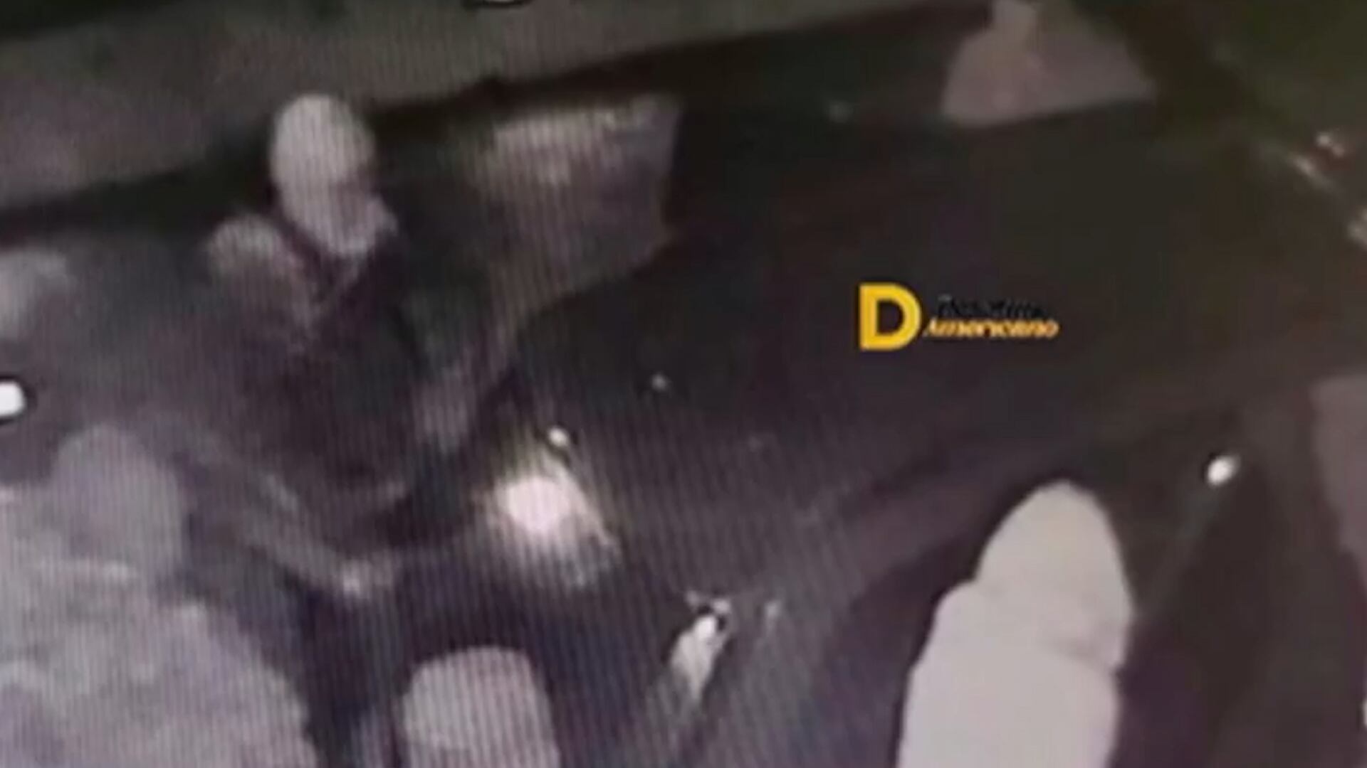 Así se llevaban la caja fuerte de la casa de Pampita