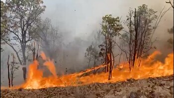 Incendio forestal: ardió Ciudad Cajetes