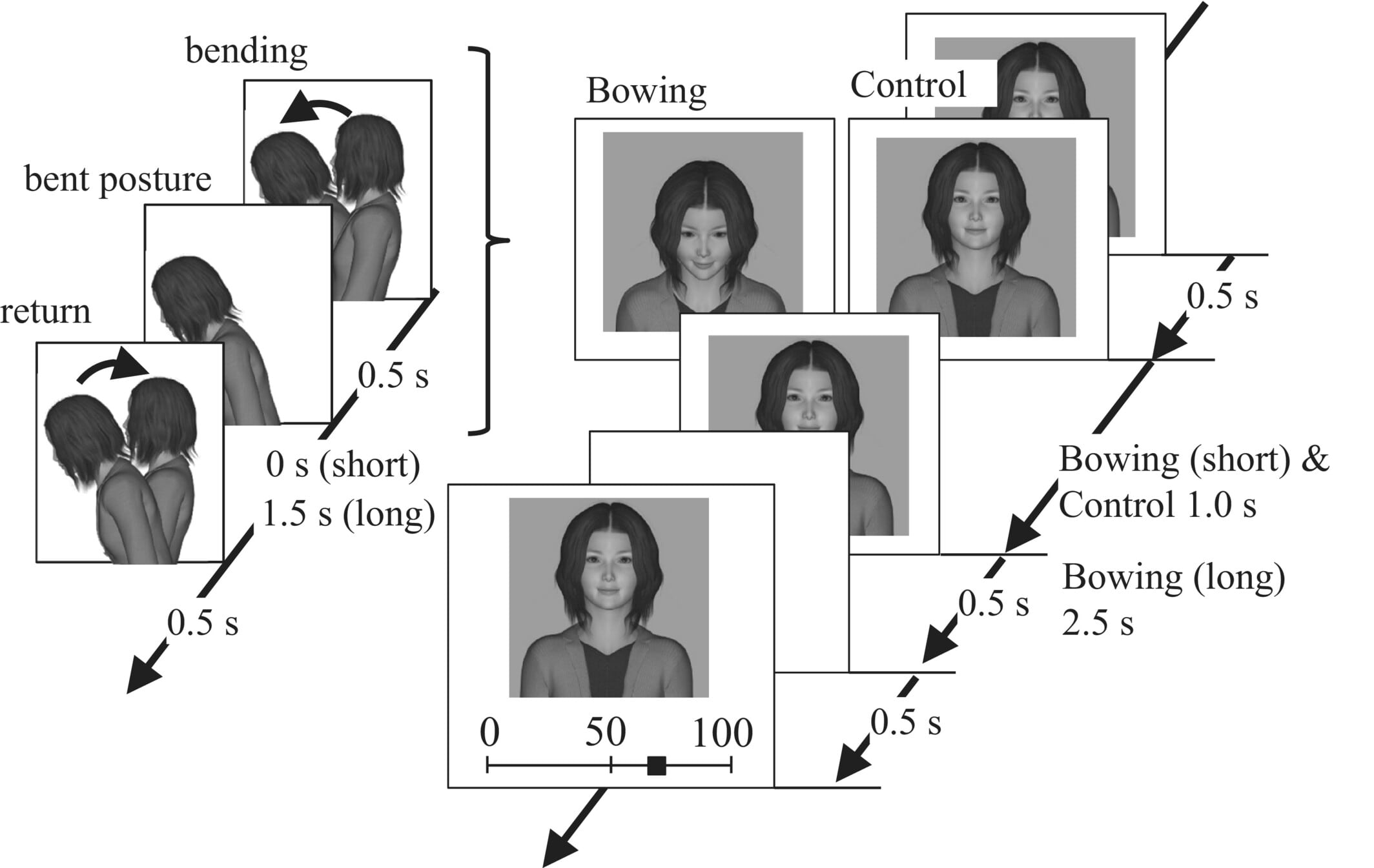 La hipótesis inicial planteó que inclinar la cabeza hacia abajo aumenta la percepción de sumisión y podría elevar el atractivo en diversas culturas (Gentileza, estudio Efecto de la reverencia en el atractivo facial de otras razas, publicado en Japanese Psychological Research)
