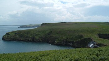 El acceso regulado y la