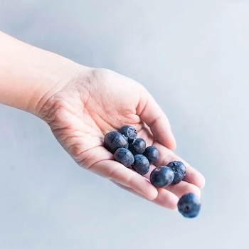 El desempeño favorable del arándano