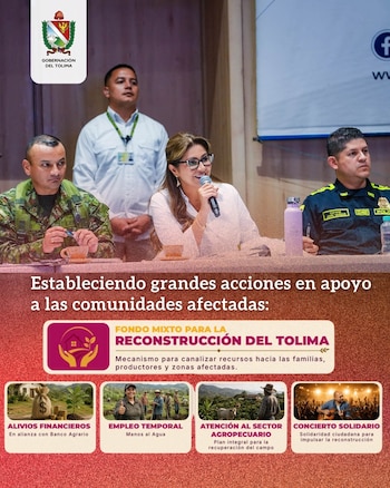 Estos son los apoyos que se brindarán a los tolimenses - crédito Gobernación del Tolima / Facebook