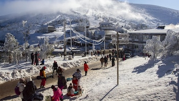 Un concejal convierte su jardín