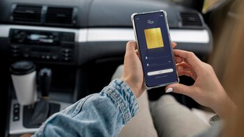 Los productos guardados en Leiva