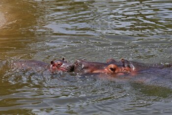 FOTO: FERNANDO CARRANZA GARCIA /