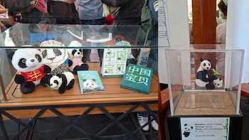 Xin Xin panda gigante