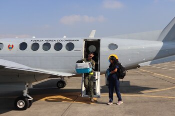 El traslade se hizo mediante una aeronave King-350 de la FAC - crédito @FuerzaAereaCol