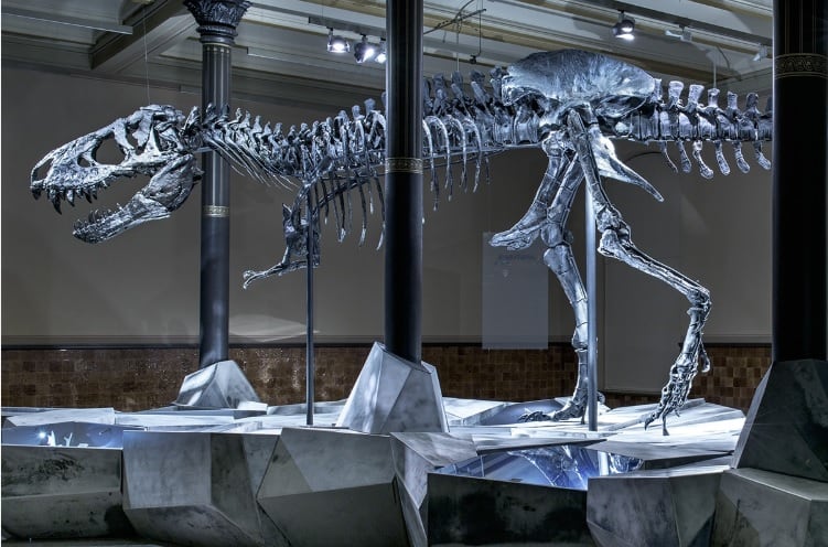 El estudio sobre el Tyrannosaurus rex revela que este dinosaurio podía correr usando solo la punta de los pies, optimizando su velocidad y agilidad
(Foto: Museo für Naturkunde)