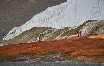 Los investigadores intentaron determinar si los microbios de Blood Falls constituyen una comunidad distinta de las de la región circundante ( Bryan Minnea)