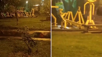 Imágenes del supuesto fantasma que