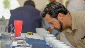 El evento Taza de Excelencia 2026 inicia recepción de muestras en El Salvador