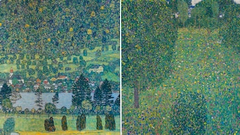 "“Pendiente forestal cerca de Unterach