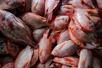 - crédito Mariano Vimos/Colprensa