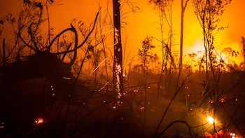 La selva amazónica ardiendo en
