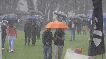 Países Bajos reforzará cooperación con