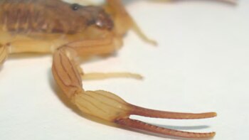 Un hombre se hospedó en