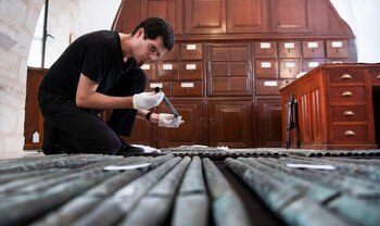 El órgano más antiguo de