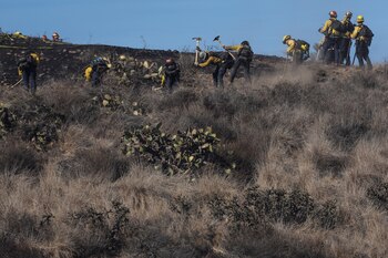 Más de 400 miembros del