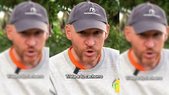 “Trata a tu cachorro como