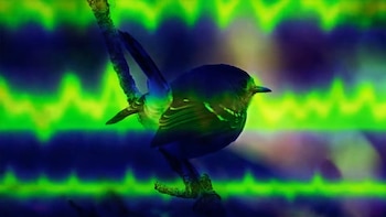 Imagen PY44D3YZOZB5JNAUNS45SCQ6ZA