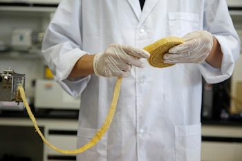 A food scientist rolls texturized