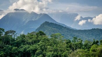 La selva peruana es un
