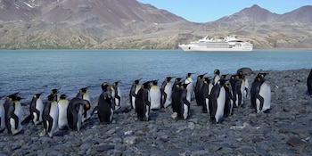 El recorrido entre pastizales de