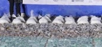 Las drogas estaban almacenadas a