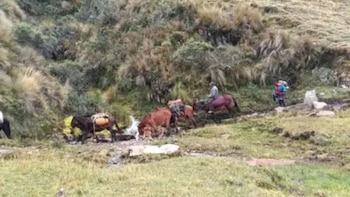 Tres alpinistas españoles resultan heridos tras accidente en nevado Jirishanca.