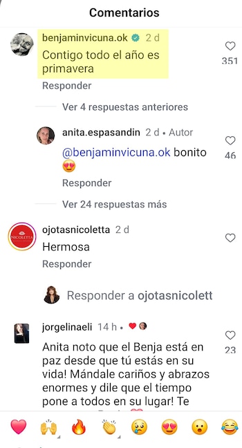 Benjamín Vicuña dedicó un mensaje