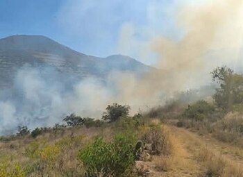 Incendio forestal en Ayacucho -
