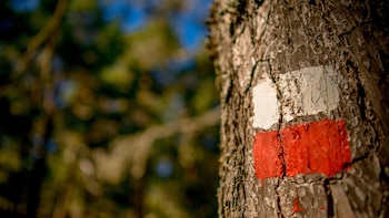 Esto es lo que significan