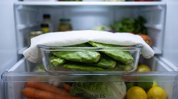 Nopales verdes sin espinas dentro de un recipiente de vidrio cubierto con un paño blanco en el interior de un refrigerador.